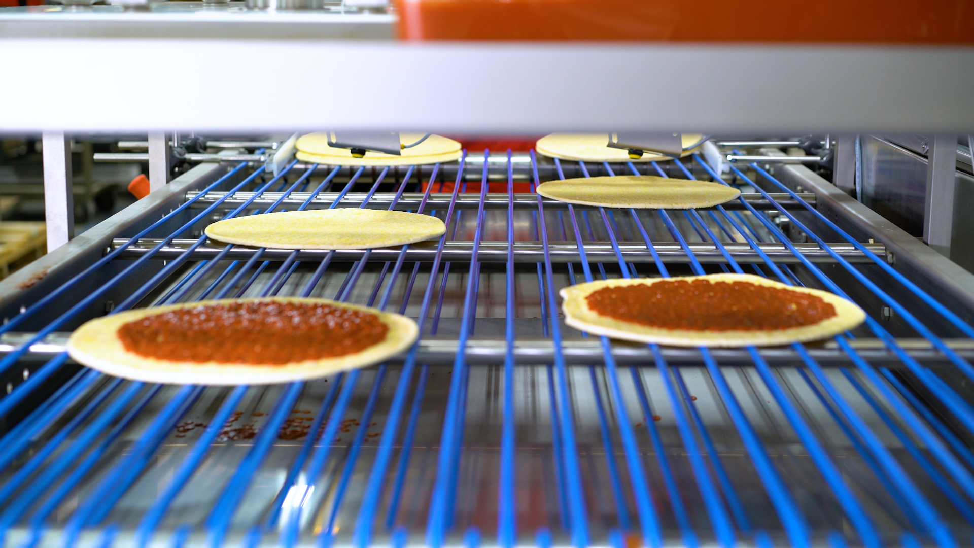 Multiple pizzas with sauce moving through a sauce applicator machine. 